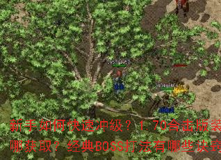 ������ο��ٳ弶��1.70�ϻ���װ�����Ļ�ȡ������BOSS������Щ���ϣ�