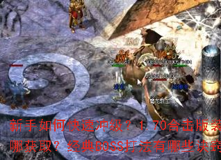 ������ο��ٳ弶��1.70�ϻ���װ�����Ļ�ȡ������BOSS������Щ���ϣ�