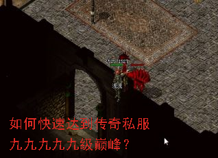 ��ο��ٴﵽ����˽���žžžžż��۷壿