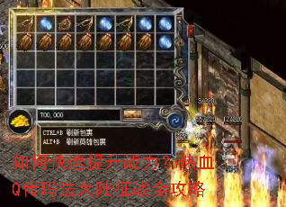 ��ο�������ս������ѪQ���귨��½��սȫ����