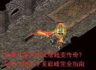 ��δ��㿪ʼ�������䴫�棿�귨��½�������۷���ȫָ��