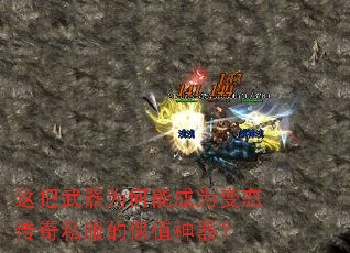 �������Ϊ���ܳ�Ϊ��̬����˽���ı�ֵ������