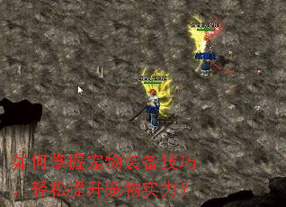 ������ճ���װ�����ɣ�������������ʵ����