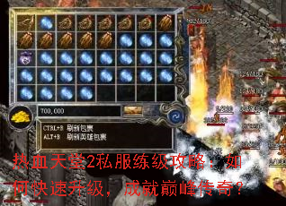 ��Ѫ����2˽���������ԣ���ο����������ɾ��۷崫�棿