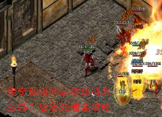 ����˽����վ���ٳ���ô�죿Ӧ������ȫ����