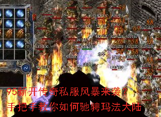 95�¿�����˽���籩��Ϯ���ְ��ֽ�����γ۳��귨��½