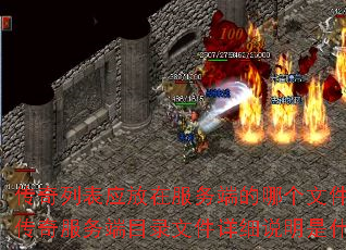 传奇列表应放在服务端的哪个文件夹?传奇服务端目录文件详细说明是什么? 传奇列表应放在服务端的哪个文件夹?传奇服务端目录文件详细说明是什么?