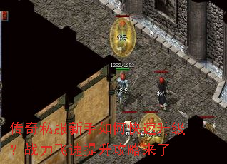 传奇私服新手如何快速升级?战力飞速提升攻略来了 传奇私服新手如何快速升级?战力飞速提升攻略来了