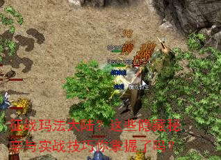 征战玛法大陆?这些隐藏秘辛与实战技巧你掌握了吗? 征战玛法大陆?这些隐藏秘辛与实战技巧你掌握了吗?
