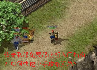 传奇私服免费服萌新入门指南?如何快速上手攻略汇总? 传奇私服免费服萌新入门指南?如何快速上手攻略汇总?