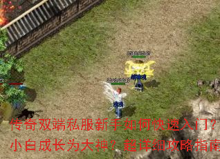 传奇双端私服新手如何快速入门?怎样从小白成长为大神?超详细攻略指南来了 传奇双端私服新手如何快速入门?怎样从小白成长为大神?超详细攻略指南来了