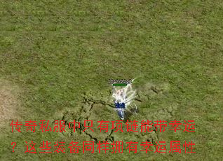 ����˽����ֻ�������ܴ����ˣ���Щװ��ͬ��ӵ����������
