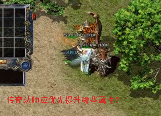 传奇法师应优先提升哪些属性? 传奇法师应优先提升哪些属性?