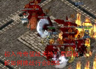 初入传奇征战天地?蜀国萌新如何挑战行会BOSS 初入传奇征战天地?蜀国萌新如何挑战行会BOSS
