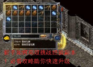 新手如何高效挑战经验副本?必看攻略助你快速升级 新手如何高效挑战经验副本?必看攻略助你快速升级