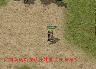 如何玩转卧龙山庄才能收获满满? 如何玩转卧龙山庄才能收获满满?