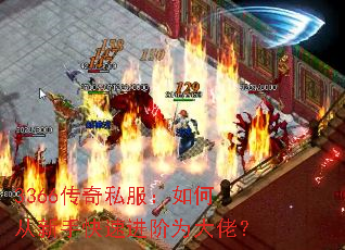 3366传奇私服:如何从新手快速进阶为大佬? 3366传奇私服:如何从新手快速进阶为大佬?