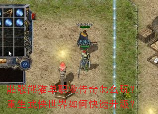 骷髅熊猫单职业传奇怎么玩?重生武侠世界如何快速升级? 骷髅熊猫单职业传奇怎么玩?重生武侠世界如何快速升级?