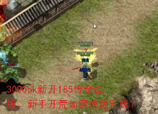 3000ok�¿�185����˽�������ֿ�����ο���������