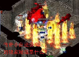����С����Ϯ���棬�ҵĶ����ؼ���ʲô��