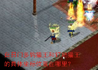 白日门多钩猫王和钉耙猫王的具体坐标位置在哪里? 白日门多钩猫王和钉耙猫王的具体坐标位置在哪里?