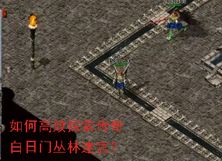 ��θ�Ч̽����������Ŵ����Թ���