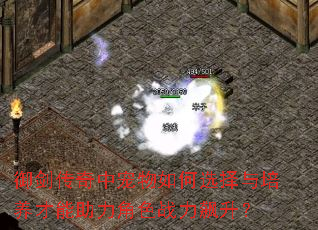 御剑传奇中宠物如何选择与培养才能助力角色战力飙升? 御剑传奇中宠物如何选择与培养才能助力角色战力飙升?