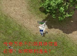 传奇万恶不归路具体位置在哪?如何顺利通关? 传奇万恶不归路具体位置在哪?如何顺利通关?