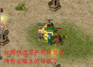 如何快速提升无赦复古传奇老版本的等级? 如何快速提升无赦复古传奇老版本的等级?