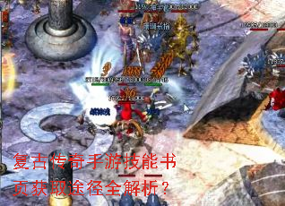 ���Ŵ������μ�����ҳ��ȡ;��ȫ������