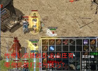 ���������ս����ɽׯ����Щ��Ч���뼼�ɣ�