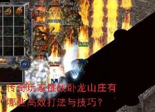 ���������ս����ɽׯ����Щ��Ч���뼼�ɣ�