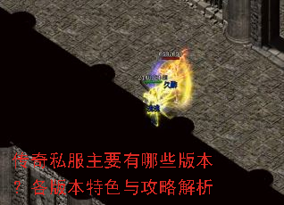 ����˽����Ҫ����Щ�汾�����汾��ɫ�빥�Խ���