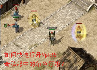��ο�������9pk����˽���еĽ�ɫ�ȼ���