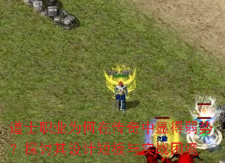 ��ʿְҵΪ���ڴ������Ե����ƣ�̽������ƶ̰���ʵս����