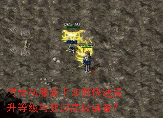 传奇私服新手如何快速提升等级与获取高级装备? 传奇私服新手如何快速提升等级与获取高级装备?
