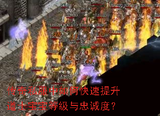传奇私服中如何快速提升道士宝宝等级与忠诚度? 传奇私服中如何快速提升道士宝宝等级与忠诚度?