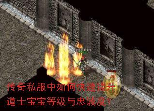 传奇私服中如何快速提升道士宝宝等级与忠诚度? 传奇私服中如何快速提升道士宝宝等级与忠诚度?