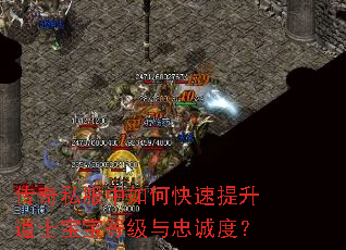 传奇私服中如何快速提升道士宝宝等级与忠诚度? 传奇私服中如何快速提升道士宝宝等级与忠诚度?