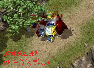 如何快速提升sfmy角色等级与战力? 如何快速提升sfmy角色等级与战力?