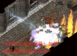 传奇玩家收徒秘籍:如何高效招募与培养徒弟? 传奇玩家收徒秘籍:如何高效招募与培养徒弟?