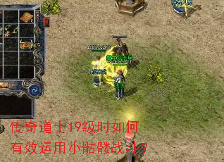 传奇道士19级时如何有效运用小骷髅战斗? 传奇道士19级时如何有效运用小骷髅战斗?