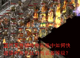 ��������洫��˽������ο���������ɫս����װ���ȼ���