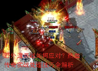 Ұ������ս���Ӧ�ԣ���Ѫ����ʵս��������ȫ����