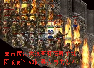 ���Ŵ�������֩�����ĸ���ͼˢ�£����Ѱ�����ɱ��