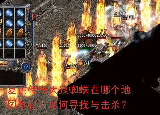 ���Ŵ�������֩�����ĸ���ͼˢ�£����Ѱ�����ɱ��