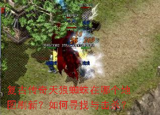 ���Ŵ�������֩�����ĸ���ͼˢ�£����Ѱ�����ɱ��