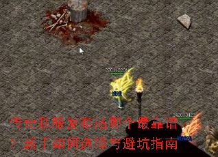 传奇私服发布站哪个最靠谱?新手如何选择与避坑指南 传奇私服发布站哪个最靠谱?新手如何选择与避坑指南