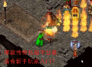 哪款传奇私服平台最适合新手玩家入门? 哪款传奇私服平台最适合新手玩家入门?