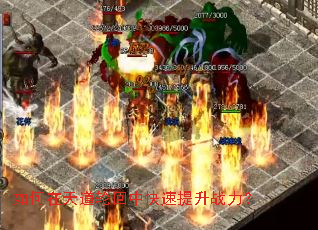 如何在天道轮回中快速提升战力? 如何在天道轮回中快速提升战力?